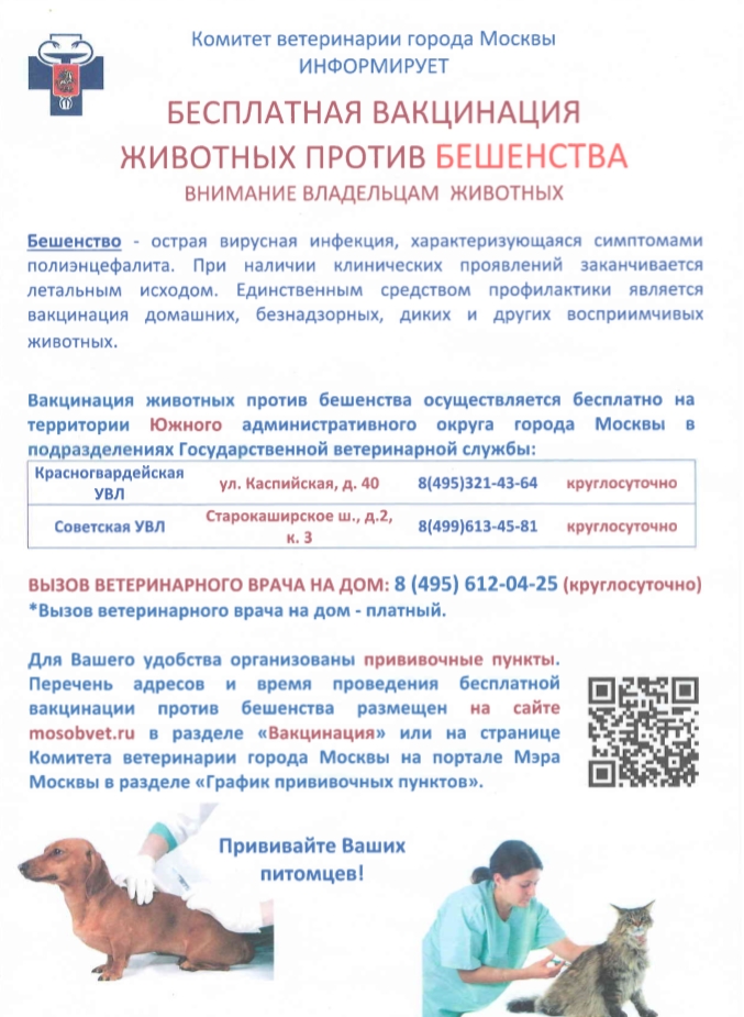 Скриншот 26-04-2019 175319.jpg