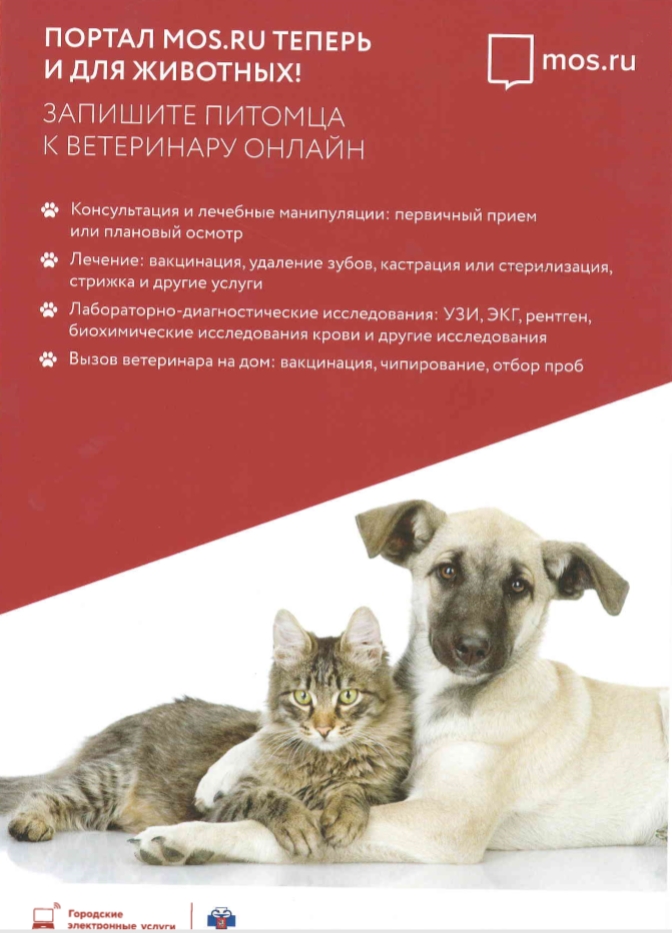 Скриншот 26-04-2019 175359.jpg