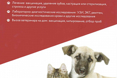 О записи для оказания ветеринарных услуг через портал mos.ru 