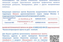 Бесплатная вакцинация животных против бешенства