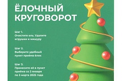 «Ёлочный круговорот»: традиционная акция начнется 2 января